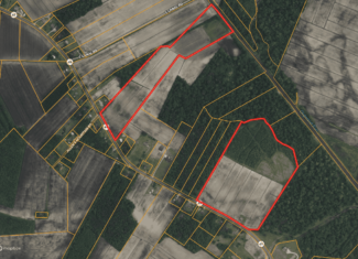 43-Acre Hunting & Farm Land Near Pungo Refuge on Hwy 45